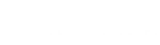 SAGA MIRAI FES